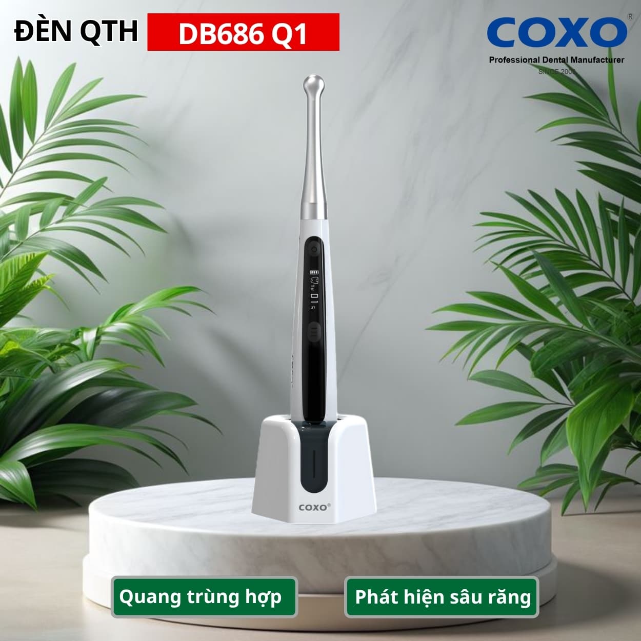 COXO DB686 Q1 — Đèn LED Trám Quang Trùng Hợp