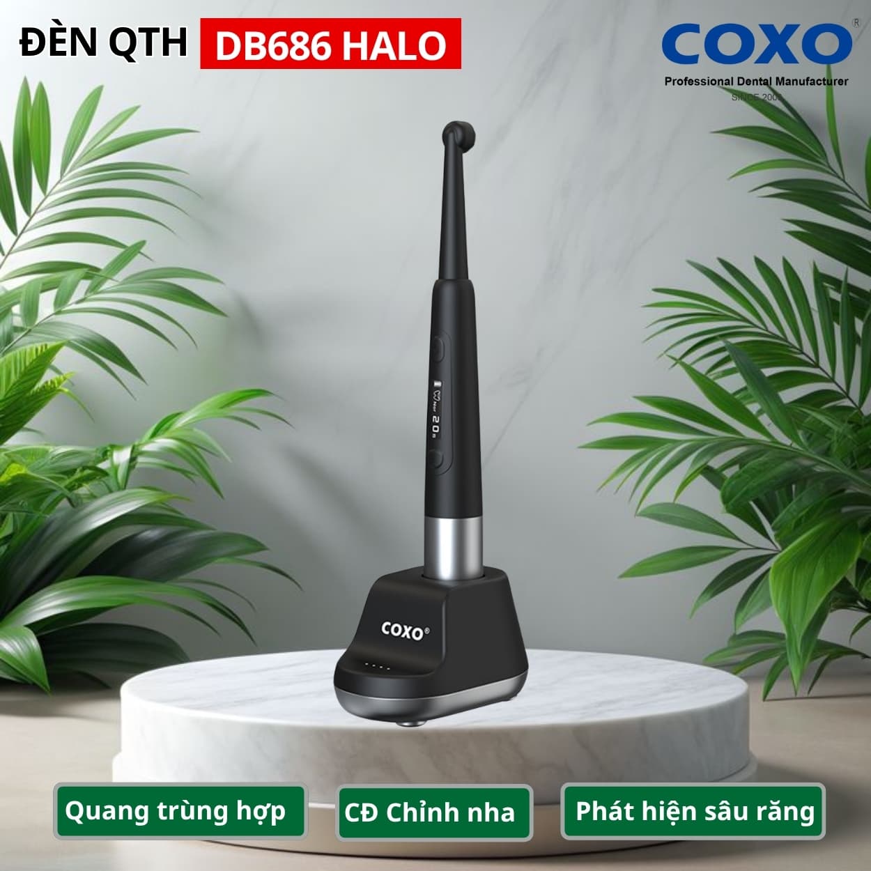 COXO DB686 HALO — Đèn LED Trám Quang Hệ Quang Học Nâng Cấp