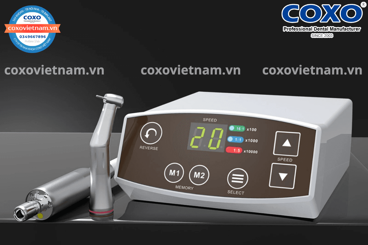 Động cơ motor điện COXO C-Puma